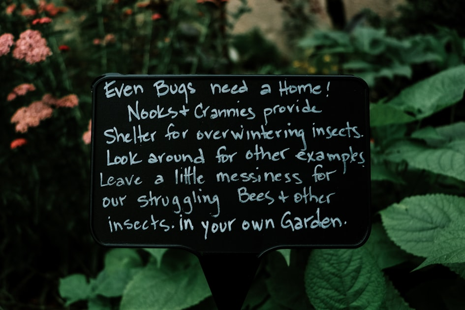 Affordable Pest Control Solutions